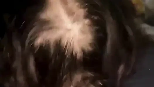 Cewek ini dientot gaya doggy habis-habisan sambil fingering memeknya