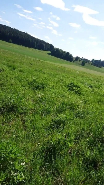 All nude in the woods wanking!