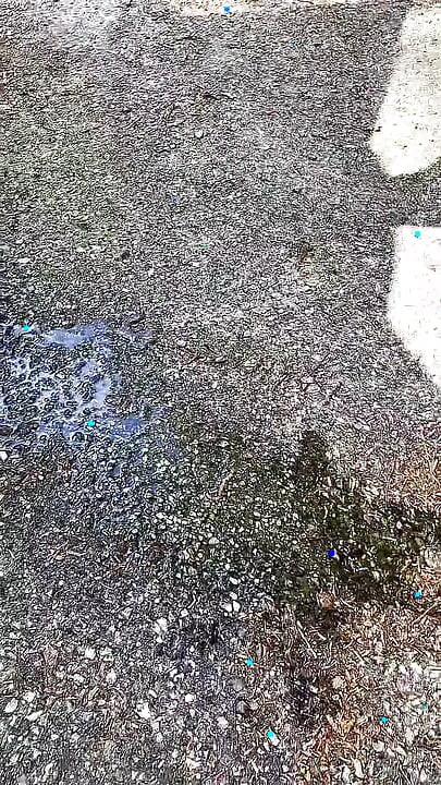 I Finger My Ass in the Forest and Squirt