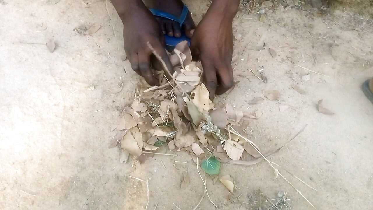 mood tranquility