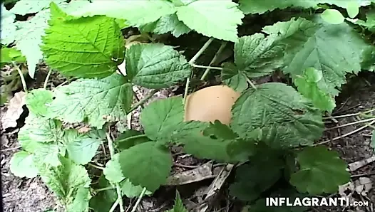 Две грязные дамы делят член в лесу