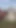Outdoor im Feld hinter einem Stein gefickt | Clip 2