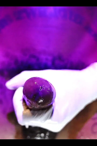 عبادة الديك الأسود المشعر الكبير هللويا جونسون (كما هو موضح أعلاه أدناه)