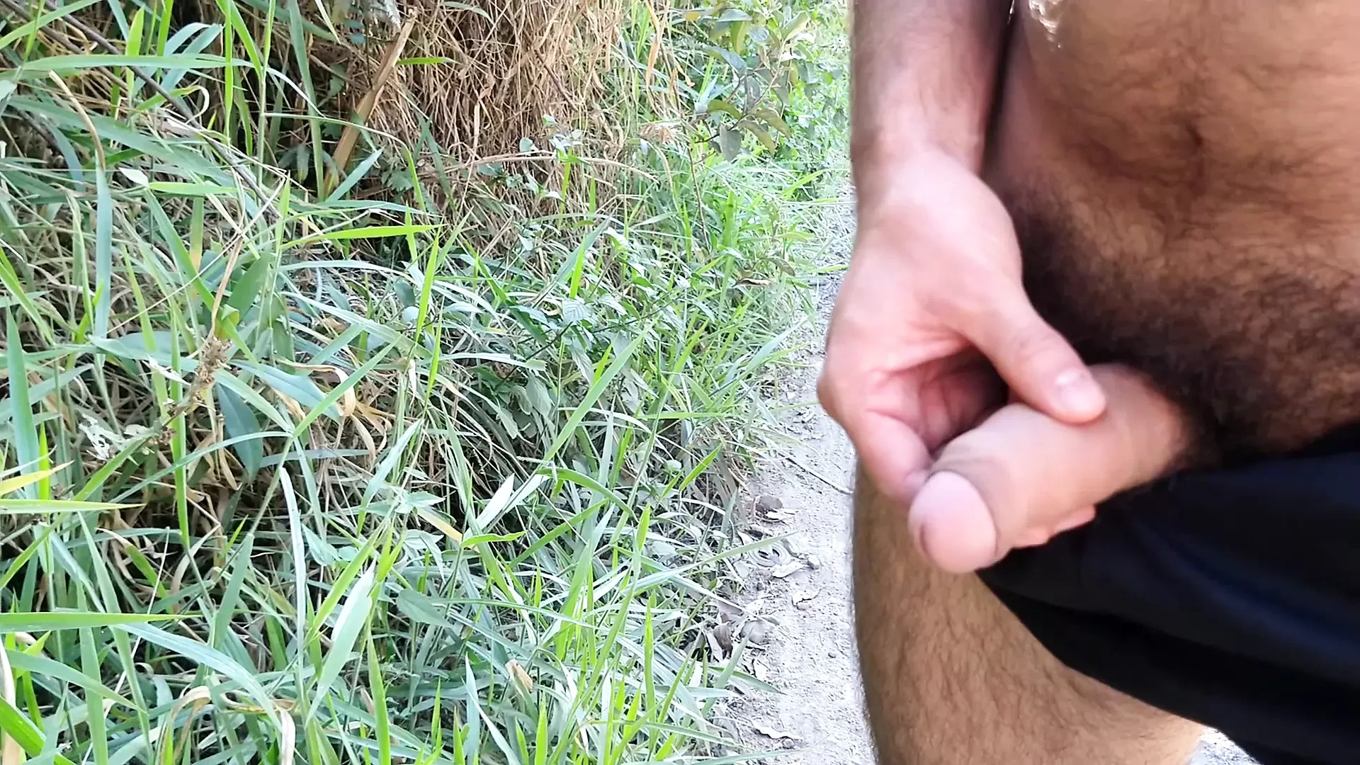 Sega pelosa, orso cattivo all'aperto in natura