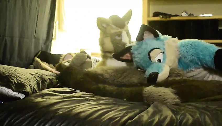 fursuit 1