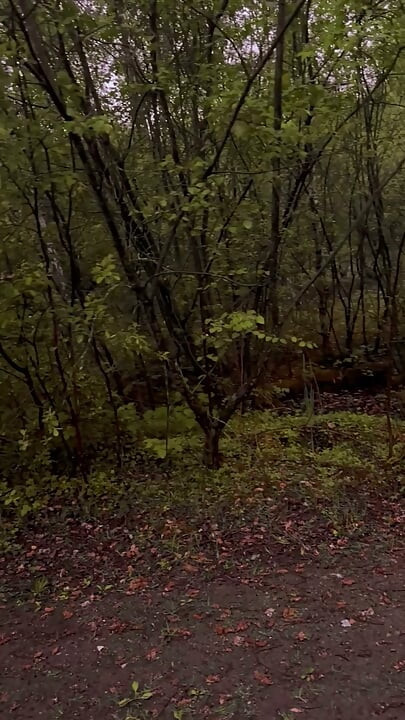 Exploring new tracks walking naked barefoot