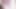 WhatsApp Video 2021-01-01 - New Year's sperm