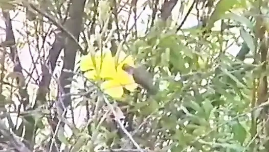 Memek amatir yang dicukur dipukul