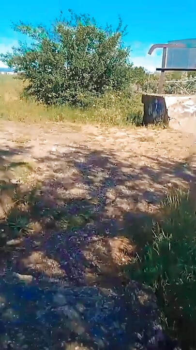 WillyAlexandruPetre vídeo