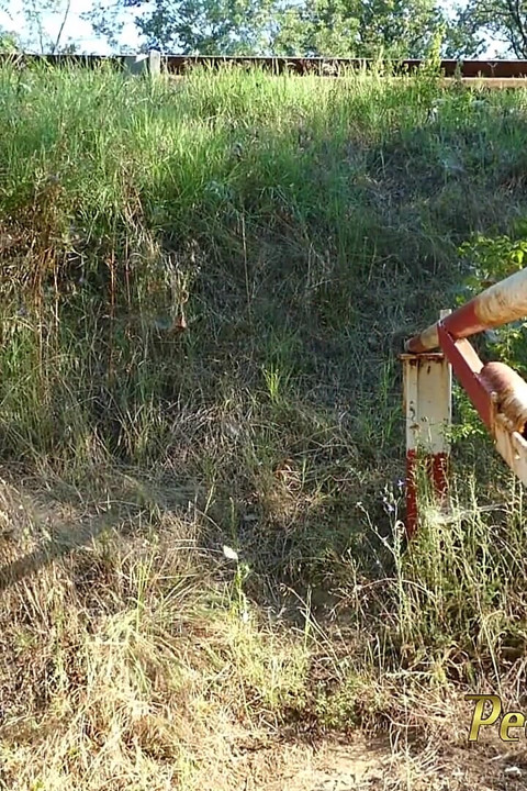 Empty her bladder on the side of the road