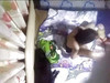 Pregled videozapisa