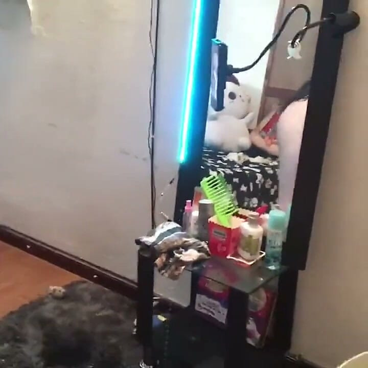 リトル・ティックトック・スラット(腹筋)!!