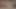 sexy hot dancing striptease huge tits bodysuit big ass young girl mulatto nipple piercing pussy piercing