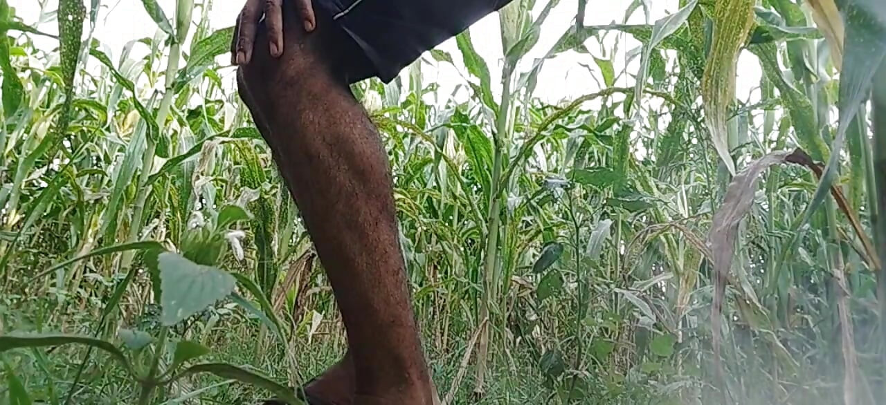 India original gay boys hard focking forest big Black