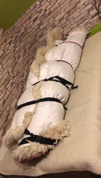 fur orgasm 4