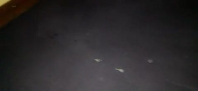 Sperma