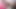 Interracial black shemale and guy webcam