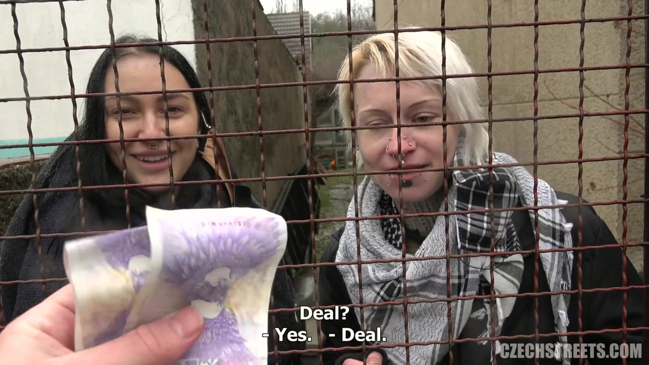 チェコの街 - 家庭のクソ星座