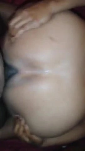 PNG doggy