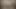 dressage d'une salope travesti bdsm mature