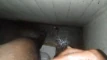 Video pregled