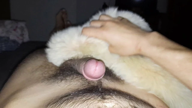 Playing with fox