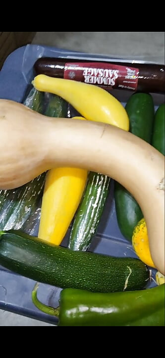 זה עונת הקציר