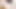 Üniversiteli kızlar Alya ve Yuki, birlikte yeni seks oyuncağını deneyin (özel çizgi film seksi)