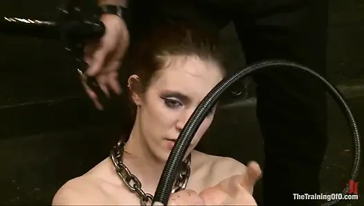 Final Exam-blue and Red