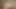 Busty apartman kız kavgası (istenen)