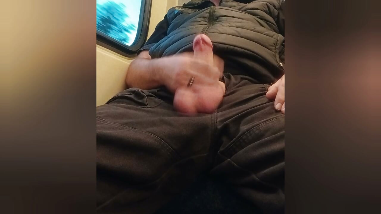 Excitat în tren