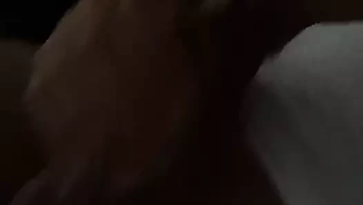 X hamster