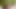 IPhone versiyonu pf kesinlikle çarpıcı azgın ıslak mastürbasyon
