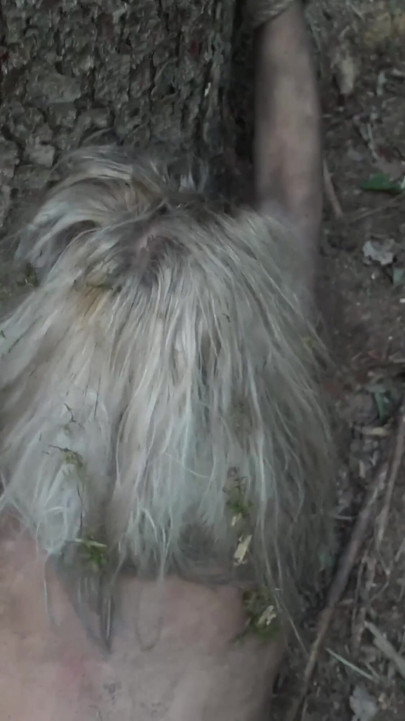 The dark side of the woods (Horror Porn) | Clip 1