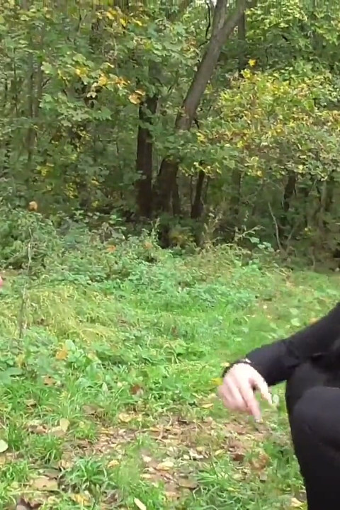 Niewolnicze dranie zniszczone w lesie