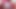 Indian gay beutiful boy in bihari style masturbation