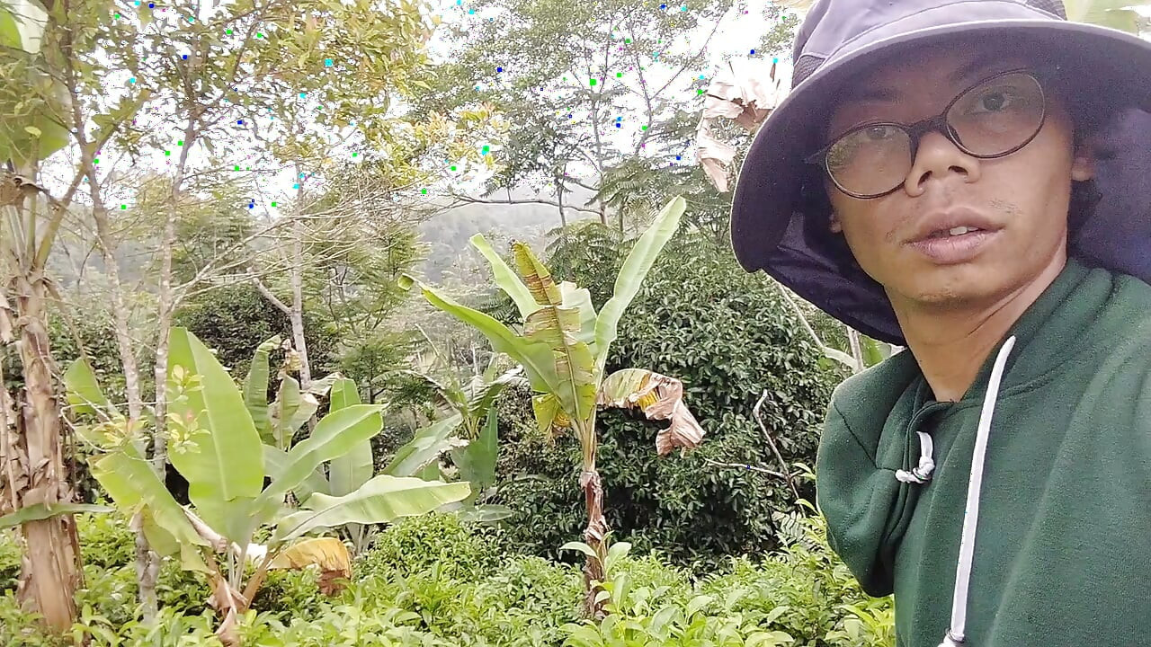 Pemuda sendirian di saung sawah lagi bekebun