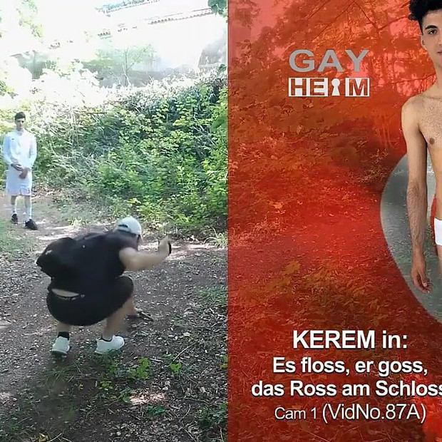 Pregled videozapisa