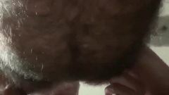 Super hairy bear sucking cock