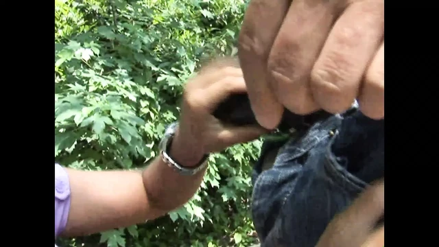 A park full of surprises!