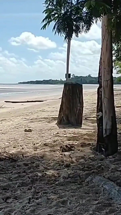 Memorable moment from "TBT reminiscing about a beach prank"