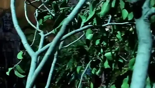 Djungel amcık sikiyor amcık yalıyor