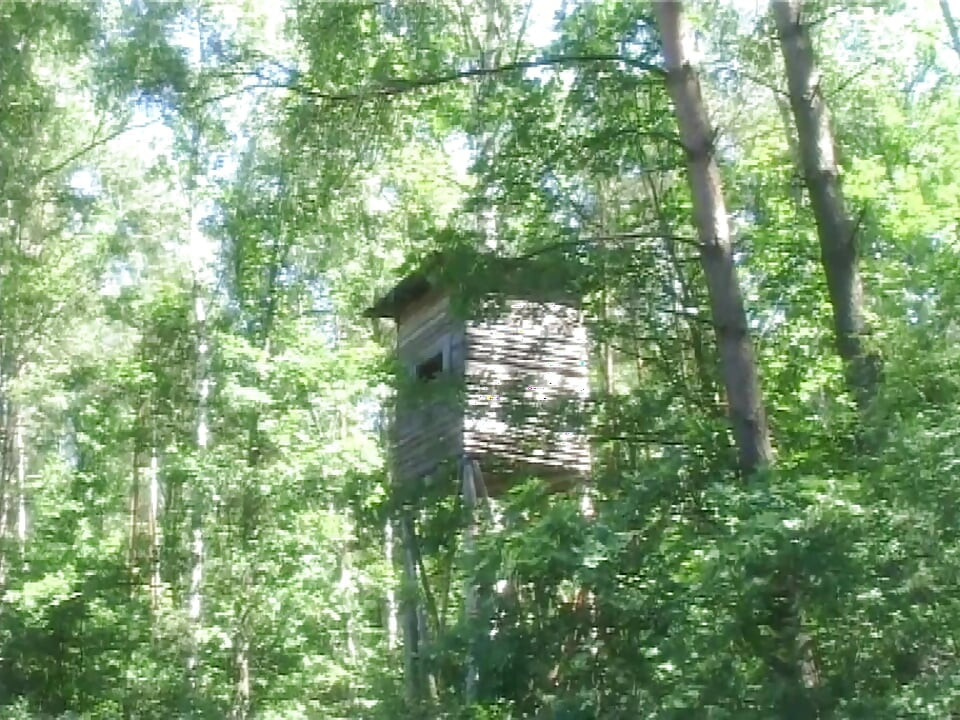 Anális luxus (teljes pornófilm)