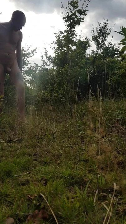 Farm land fun