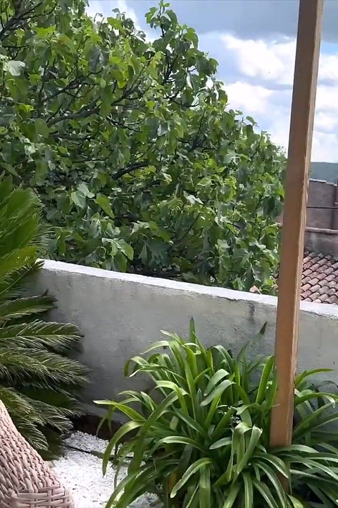 Elektra, Pretty Girl, Loves Hard Sex!