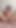 Must-see moment from "juicy vagina 18 amateur finger fucked"