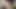 Ponja sporu