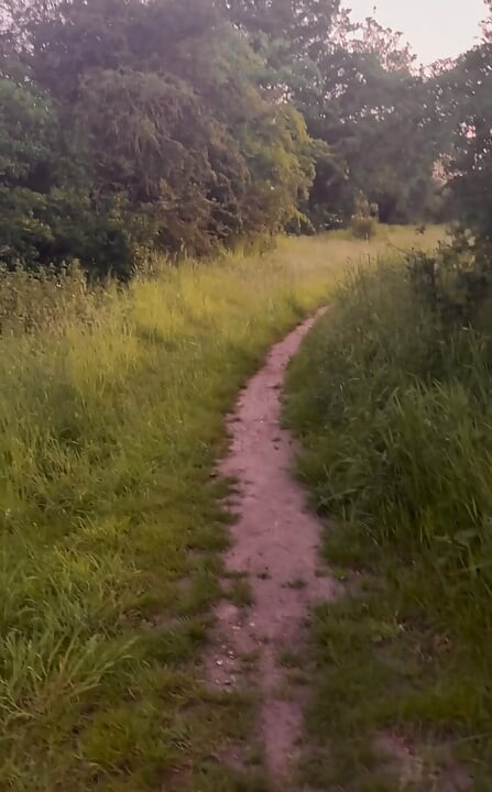Horny on a barefoot nude walk so I edged my fat cock