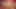 Nyo sex doll cow with four tits sucks big ejaculating cock