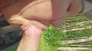 Outdoor sex, dogging wife sucks stranger’s cock